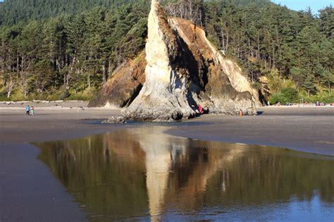 many twists turns and oregon coast surprises just south of cannon beach