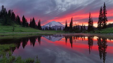 Pink Sunset Reflection Tipsoo Lake Mount Rainier