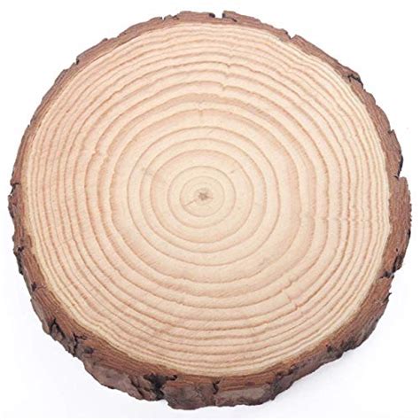 Hanben Natural Wood Slices Round Pinewood Slabs 8 To 9 Inch Rustic
