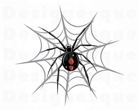 Spider Web 2 SVG Spider Web Svg Spider Web Clipart Spider | Etsy