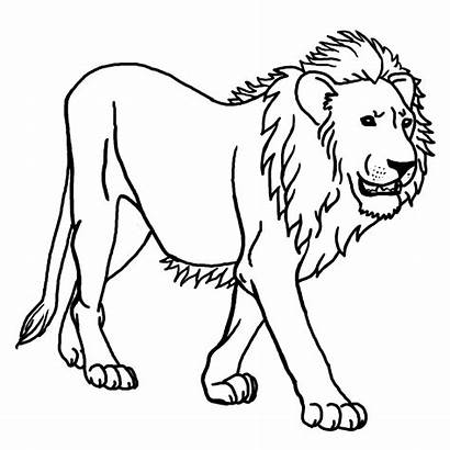 Lion Coloring Simple Pages Children Animals