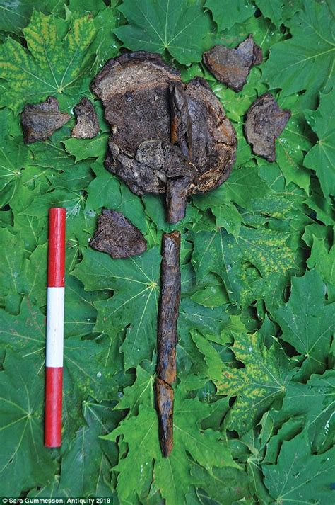 8000 Year Old Human Skulls Found On Stakes In Lake Grave Daily Mail