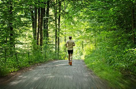 Hd Wallpaper Man Jogging In The Middle Of Forest Run Sport Leisure