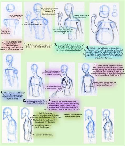 Pin On Art And Anatomy Reference