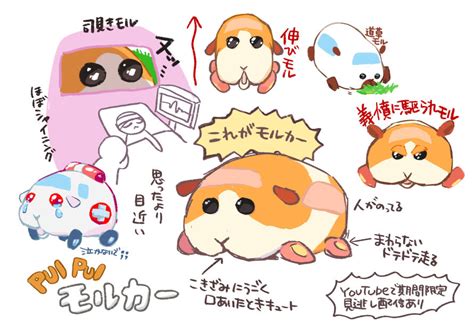 歡迎來認識 請先附臉照～歡迎私聊 有主人@echnsxo7a7wwgsh可以找固炮 拍片 野裸 現職輪班賣肝的工作 #穩定 #約 #性慾強 #固砲 #野裸. 閒聊 推特上的天竺鼠車車 - 看板 C_Chat - 批踢踢實業坊