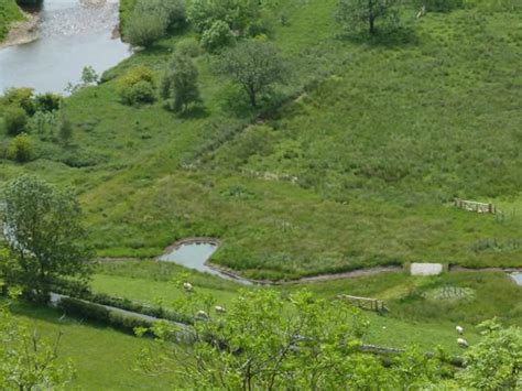 Upper Wharfe River Sssi Project Yorkshire Dales Rivers Trust