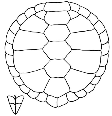 Ninja Turtle Shell Texture