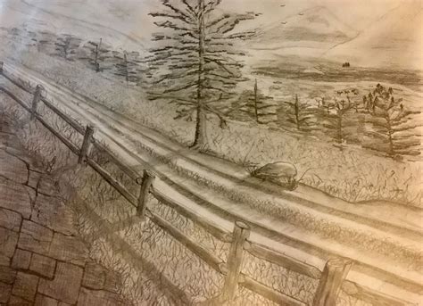Outdoor Drawing Ideas