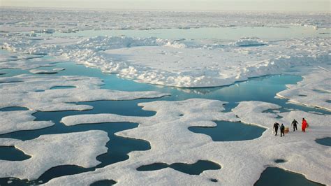 The Arctic Is Shifting To A New Climate State Scientists Find Yale E360