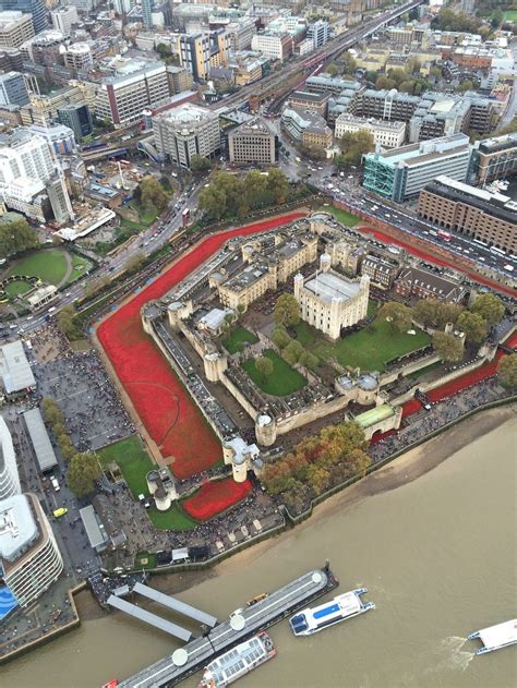 An Incredible Birds Eye View Of The Ceramic Poppies