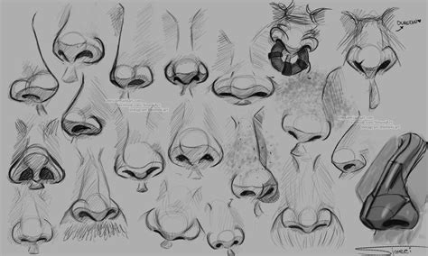 Nose studies by NtyS. get more @rohitanshu Male Noses Drawing, Noses gambar png