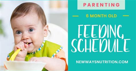 Example 6 Month Old Feeding Schedule New Ways Nutrition 6 Month