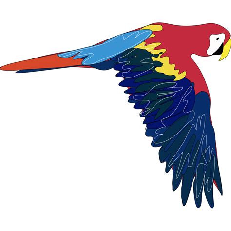 Flying Parrot Svg Clip Arts Download Download Clip Art Png Icon Arts