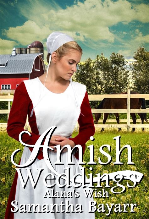 Amish Books New Release Amish Books