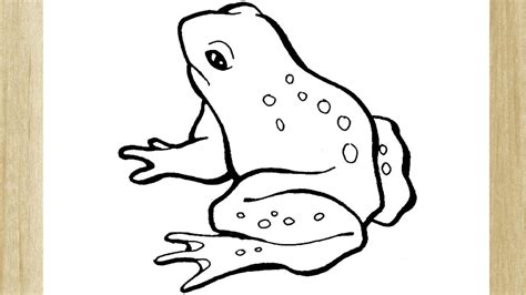 Como Desenhar Um Sapo FÁcil How To Draw Frog Easy Youtube