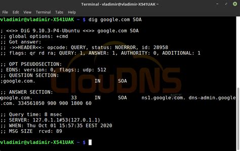 Linux Dig Command How To Install It And Use It 2022