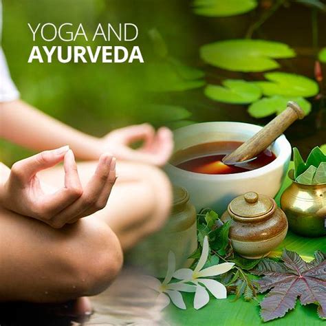 Pranaa Ayurveda Spa And Yoga Center Balancegurus