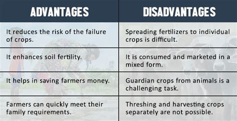 Mixed Farming In India Types Characteristics And Benefits