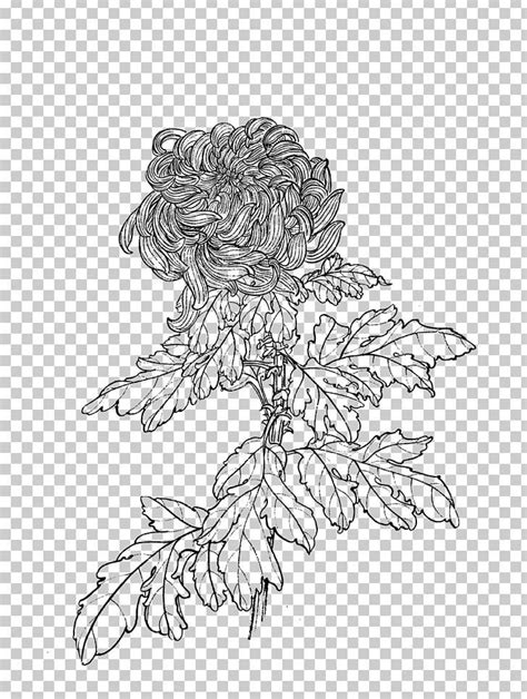 Flower Chrysanthemum Drawing Manual Of The Mustard Seed Garden Line Art Png Clipart Chinese