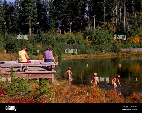 Mütter Die Gerade Junge Nackte Kinder Spielen Im Bild See Mount Baker Snoqualmie National