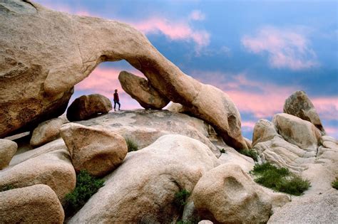 Your Guide To The Beautifully Bizarre Joshua Tree National Park
