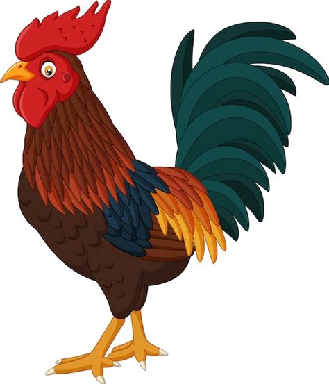 Cartoon Rooster Isolated On White Background Vector Premium Download