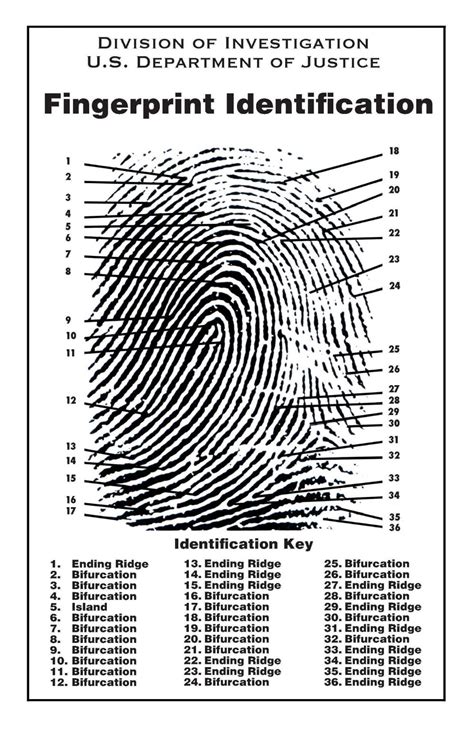 Fingerprinting With Ink Forensikit By Crime Scene