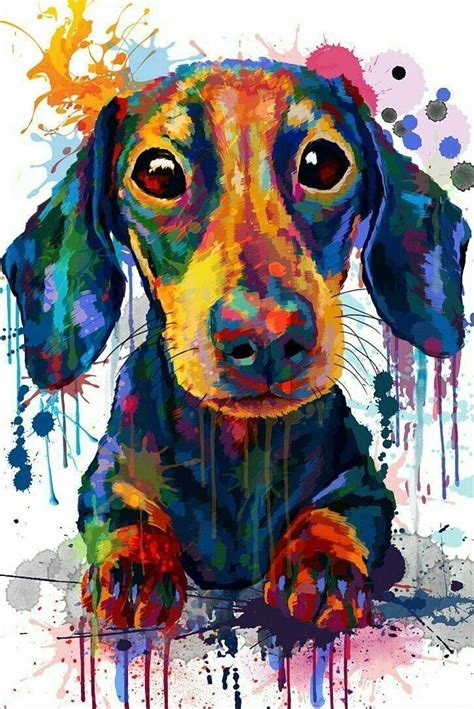 Pin By Xinia On Perros Dog Paintings Dachshund Art Animal Paintings