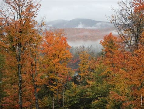 Adirondacks Fall Foliage Foliage Scenery