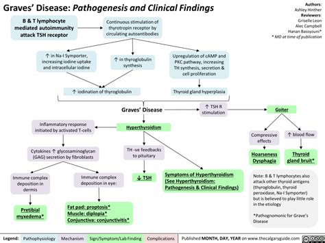 Graves Disease Pathogenesis And Clinical Findings Calgary Guide