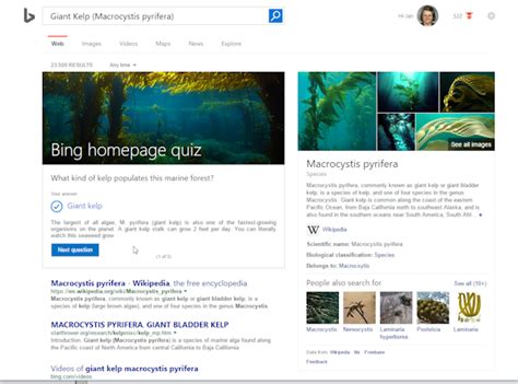 Bing Quiz Test Bing Images
