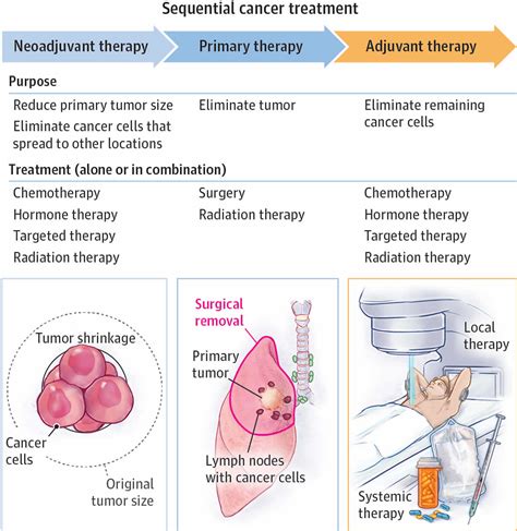 Hormone Therapy For Lung And Pancreatic Cancer Rijals Blog