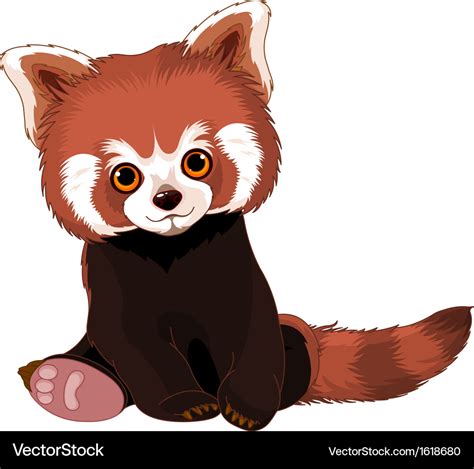 Cute Red Panda Royalty Free Vector Image Vectorstock