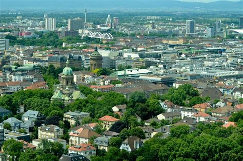 Des maillots pour un anniversaire ! HdBA (Hochschule der Bundesagentur für Arbeit) | myStipendium