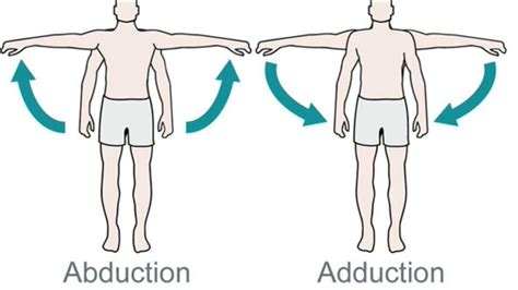 What Is Abduction And Adduction Youtube