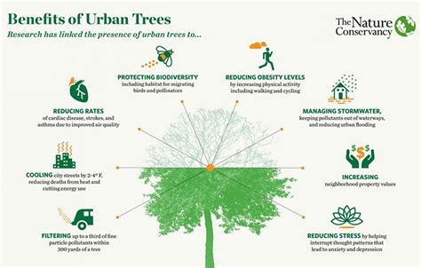 General Urban Forestry Information