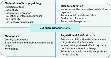 Functions Of Gut Microbiota Download Scientific Diagram