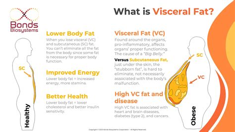 Did You Know Visceral Fat