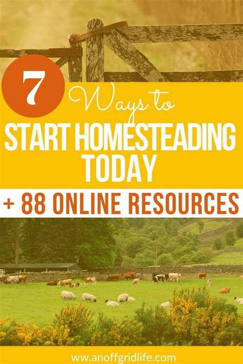 start homesteading today with these 7 tips to use right where you are with what you have