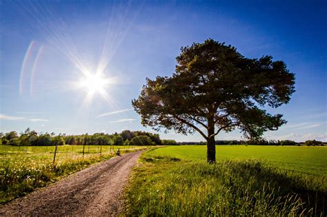 Wallpaper 4753x3168 Px Field Landscape Road Tree 4753x3168