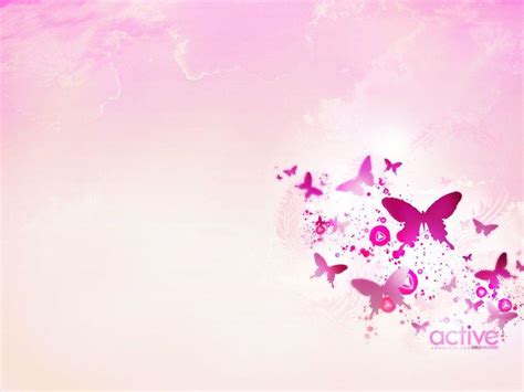 Wallpapers Butterfly Pink Backgrounds White Wallpaper Cave
