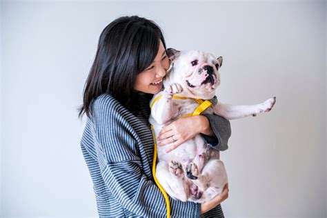 Japan's Pet Sector: Sniffing Out Fresh Opportunities - Tokyoesque