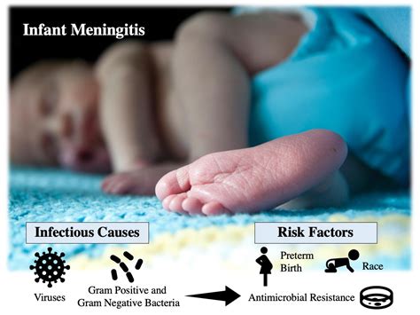 Microorganisms Free Full Text The Epidemiology Of Meningitis In