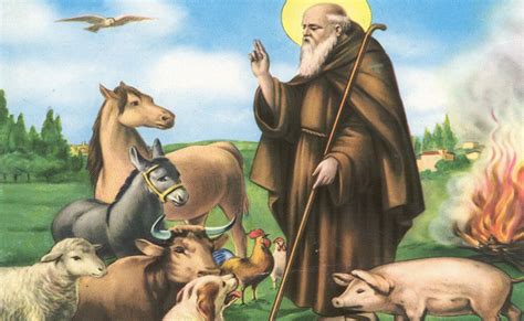 Statistiche demografiche, numeri utili, cap, prefisso e pec. La tradizione dei falò e il significato spirituale della ...