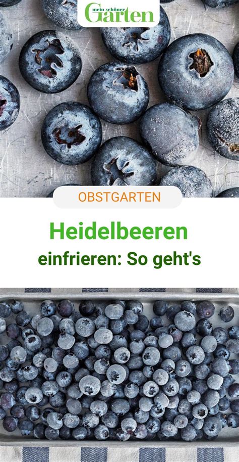 Heidelbeeren einfrieren Wie geht es richtig in 2021