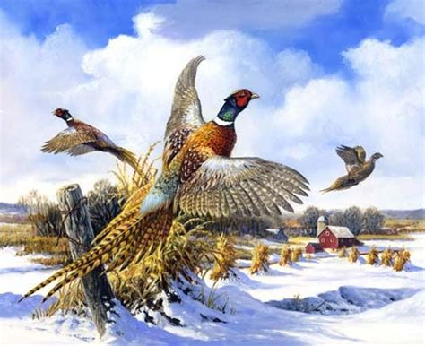 Upland Bird Hunting Hunting Art Pheasant Hunting Dove Pictures