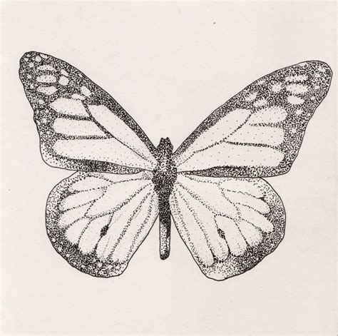 Pointillism Illustration Day One Of Pointillism A Butterfly