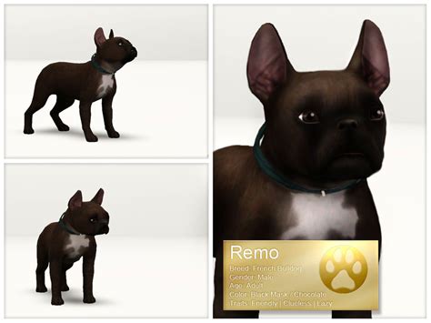 The Sims Resource French Bulldog Remo