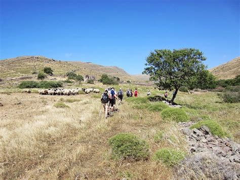 Lesvostrail Lesbos Atualizado 2022 O Que Saber Antes De Ir Sobre O Que As Pessoas Estão