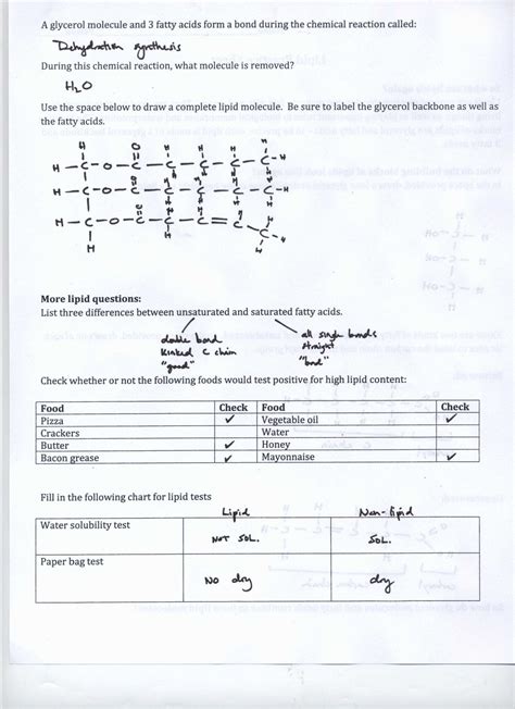 Doc brown's chemistry revision notes: Types Of Chemical Reactions Worksheet Pogil | db-excel.com
